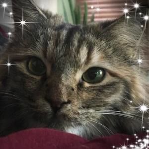 Meet your Posher, Ann